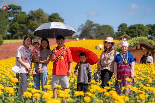 ภาพ No.188370:บรรยากาศ ทุ่งสวรรค์หรรษาพนาวัฒน์ ณ สวนพนาวัฒน์ อ.ฮอด จ.เชียงใหม่ เปิดให้เข้าชมฟรี ระหว่างวันที่ 28 ธันวาคม พ.ศ. 2567 ถึง วันที่ 3 มกราคม พ.ศ. 2568 เวลา 08.00-17.00 น.