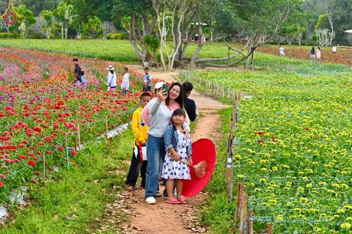 ภาพ No.188371:บรรยากาศ ทุ่งสวรรค์หรรษาพนาวัฒน์ ณ สวนพนาวัฒน์ อ.ฮอด จ.เชียงใหม่ เปิดให้เข้าชมฟรี ระหว่างวันที่ 28 ธันวาคม พ.ศ. 2567 ถึง วันที่ 3 มกราคม พ.ศ. 2568 เวลา 08.00-17.00 น.