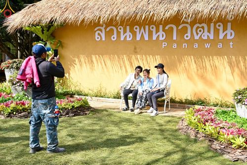 ภาพ No.188372:บรรยากาศ ทุ่งสวรรค์หรรษาพนาวัฒน์ ณ สวนพนาวัฒน์ อ.ฮอด จ.เชียงใหม่ เปิดให้เข้าชมฟรี ระหว่างวันที่ 28 ธันวาคม พ.ศ. 2567 ถึง วันที่ 3 มกราคม พ.ศ. 2568 เวลา 08.00-17.00 น.