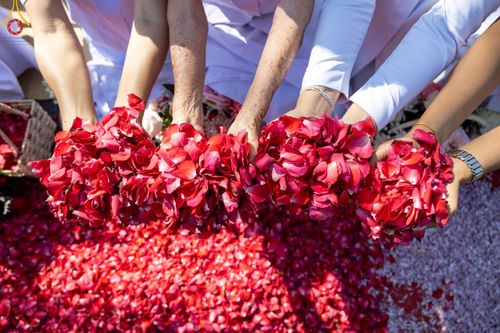 ภาพ No.188627:พิธีต้อนรับพระธรรมยาตรา ในโครงการธรรมยาตรา กตัญญูบูชา มหาปูชนียาจารย์ พระมงคลเทพมุนี(สด จนฺทสโร) พระผู้ปราบมาร อนุสรณ์สถาน 7 แห่ง ปีที่ 13 วันที่ 2 มกราคม พ.ศ. 2568 ณ วัดพระธรรมกาย จ.ปทุมธานี