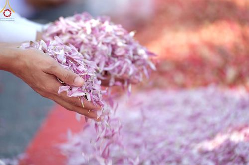 ภาพ No.188631:พิธีต้อนรับพระธรรมยาตรา ในโครงการธรรมยาตรา กตัญญูบูชา มหาปูชนียาจารย์ พระมงคลเทพมุนี(สด จนฺทสโร) พระผู้ปราบมาร อนุสรณ์สถาน 7 แห่ง ปีที่ 13 วันที่ 2 มกราคม พ.ศ. 2568 ณ วัดพระธรรมกาย จ.ปทุมธานี