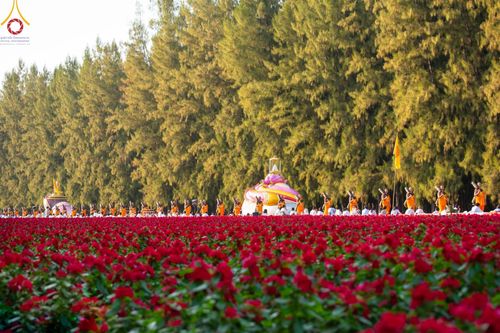 ภาพ No.188676:พิธีต้อนรับพระธรรมยาตรา ในโครงการธรรมยาตรา กตัญญูบูชา มหาปูชนียาจารย์ พระมงคลเทพมุนี(สด จนฺทสโร) พระผู้ปราบมาร อนุสรณ์สถาน 7 แห่ง ปีที่ 13 วันที่ 2 มกราคม พ.ศ. 2568 ณ วัดพระธรรมกาย จ.ปทุมธานี