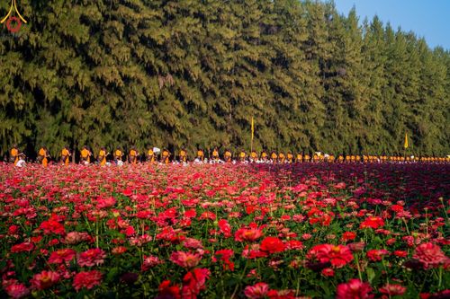 ภาพ No.188690:พิธีต้อนรับพระธรรมยาตรา ในโครงการธรรมยาตรา กตัญญูบูชา มหาปูชนียาจารย์ พระมงคลเทพมุนี(สด จนฺทสโร) พระผู้ปราบมาร อนุสรณ์สถาน 7 แห่ง ปีที่ 13 วันที่ 2 มกราคม พ.ศ. 2568 ณ วัดพระธรรมกาย จ.ปทุมธานี