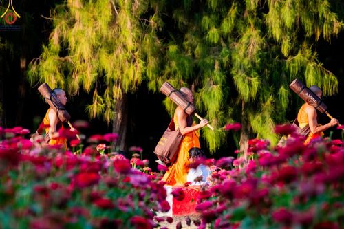 ภาพ No.188692:พิธีต้อนรับพระธรรมยาตรา ในโครงการธรรมยาตรา กตัญญูบูชา มหาปูชนียาจารย์ พระมงคลเทพมุนี(สด จนฺทสโร) พระผู้ปราบมาร อนุสรณ์สถาน 7 แห่ง ปีที่ 13 วันที่ 2 มกราคม พ.ศ. 2568 ณ วัดพระธรรมกาย จ.ปทุมธานี