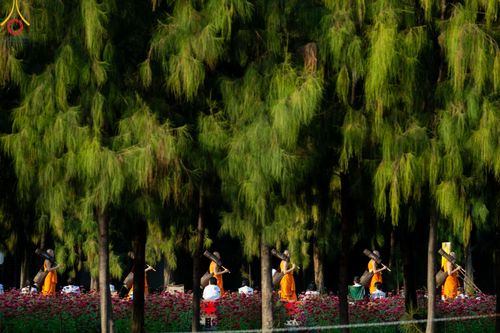ภาพ No.188693:พิธีต้อนรับพระธรรมยาตรา ในโครงการธรรมยาตรา กตัญญูบูชา มหาปูชนียาจารย์ พระมงคลเทพมุนี(สด จนฺทสโร) พระผู้ปราบมาร อนุสรณ์สถาน 7 แห่ง ปีที่ 13 วันที่ 2 มกราคม พ.ศ. 2568 ณ วัดพระธรรมกาย จ.ปทุมธานี
