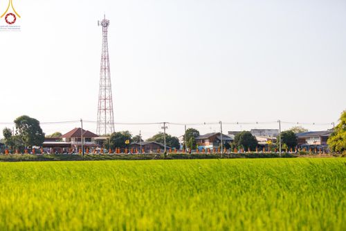 ภาพ No.189078:พิธีต้อนรับพระธรรมยาตรา ในโครงการธรรมยาตรา กตัญญูบูชา มหาปูชนียาจารย์ พระมงคลเทพมุนี(สด จนฺทสโร) พระผู้ปราบมาร อนุสรณ์สถาน 7 แห่ง ปีที่ 13 วันที่ 3 มกราคม พ.ศ. 2568 ณ อนุสรณ์สถานมหาวิหารพระมงคลเทพมุนี (โลตัสแลนด์) อ.สองพี่น้อง จ.สุพรรณบุรี
