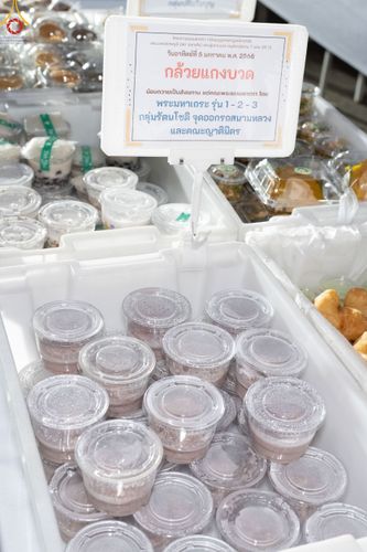 ภาพ No.189471:พิธีถวายภัตตาหารเป็นสังฆทาน แด่พระธรรมยาตรา ในโครงการธรรมยาตรา กตัญญูบูชา มหาปูชนียาจารย์ พระมงคลเทพมุนี(สด จนฺทสโร) พระผู้ปราบมาร อนุสรณ์สถาน 7 แห่ง ปีที่ 13 ณ อนุสรณ์สถานมหาวิหารพระมงคลเทพมุนี (โลตัสแลนด์) อ.สองพี่น้อง จ.สุพรรณบุรี วันที่ 5 มกราคม 2568