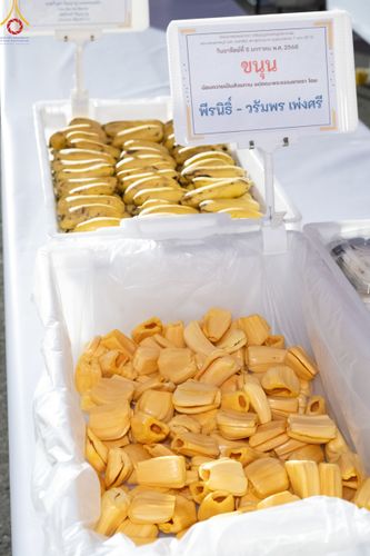 ภาพ No.189474:พิธีถวายภัตตาหารเป็นสังฆทาน แด่พระธรรมยาตรา ในโครงการธรรมยาตรา กตัญญูบูชา มหาปูชนียาจารย์ พระมงคลเทพมุนี(สด จนฺทสโร) พระผู้ปราบมาร อนุสรณ์สถาน 7 แห่ง ปีที่ 13 ณ อนุสรณ์สถานมหาวิหารพระมงคลเทพมุนี (โลตัสแลนด์) อ.สองพี่น้อง จ.สุพรรณบุรี วันที่ 5 มกราคม 2568