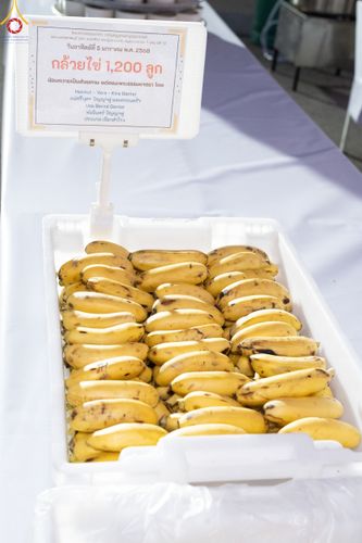 ภาพ No.189475:พิธีถวายภัตตาหารเป็นสังฆทาน แด่พระธรรมยาตรา ในโครงการธรรมยาตรา กตัญญูบูชา มหาปูชนียาจารย์ พระมงคลเทพมุนี(สด จนฺทสโร) พระผู้ปราบมาร อนุสรณ์สถาน 7 แห่ง ปีที่ 13 ณ อนุสรณ์สถานมหาวิหารพระมงคลเทพมุนี (โลตัสแลนด์) อ.สองพี่น้อง จ.สุพรรณบุรี วันที่ 5 มกราคม 2568