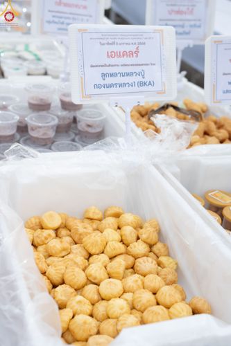 ภาพ No.189485:พิธีถวายภัตตาหารเป็นสังฆทาน แด่พระธรรมยาตรา ในโครงการธรรมยาตรา กตัญญูบูชา มหาปูชนียาจารย์ พระมงคลเทพมุนี(สด จนฺทสโร) พระผู้ปราบมาร อนุสรณ์สถาน 7 แห่ง ปีที่ 13 ณ อนุสรณ์สถานมหาวิหารพระมงคลเทพมุนี (โลตัสแลนด์) อ.สองพี่น้อง จ.สุพรรณบุรี วันที่ 5 มกราคม 2568