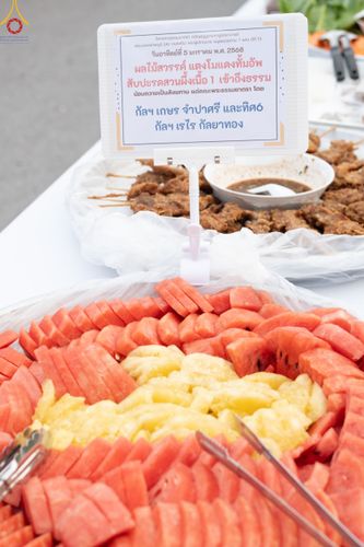 ภาพ No.189493:พิธีถวายภัตตาหารเป็นสังฆทาน แด่พระธรรมยาตรา ในโครงการธรรมยาตรา กตัญญูบูชา มหาปูชนียาจารย์ พระมงคลเทพมุนี(สด จนฺทสโร) พระผู้ปราบมาร อนุสรณ์สถาน 7 แห่ง ปีที่ 13 ณ อนุสรณ์สถานมหาวิหารพระมงคลเทพมุนี (โลตัสแลนด์) อ.สองพี่น้อง จ.สุพรรณบุรี วันที่ 5 มกราคม 2568