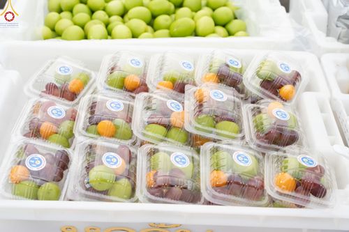 ภาพ No.189501:พิธีถวายภัตตาหารเป็นสังฆทาน แด่พระธรรมยาตรา ในโครงการธรรมยาตรา กตัญญูบูชา มหาปูชนียาจารย์ พระมงคลเทพมุนี(สด จนฺทสโร) พระผู้ปราบมาร อนุสรณ์สถาน 7 แห่ง ปีที่ 13 ณ อนุสรณ์สถานมหาวิหารพระมงคลเทพมุนี (โลตัสแลนด์) อ.สองพี่น้อง จ.สุพรรณบุรี วันที่ 5 มกราคม 2568