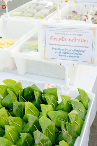 ภาพ No.190411:สาธุชนถวายภัตตาหารเป็นสังฆทาน แด่พระธรรมยาตรา ณ อนุสรณ์สถานมหาวิหารพระมงคลเทพมุนี (โลตัสแลนด์) อ.สองพี่น้อง จ.สุพรรณบุรี ในโครงการธรรมยาตรา กตัญญูบูชา มหาปูชนียาจารย์ พระมงคลเทพมุนี(สด จนฺทสโร) พระผู้ปราบมาร แห่ง ปีที่ 13 วันที่ 7 มกราคม พ.ศ.2568