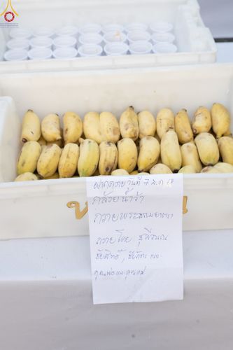 ภาพ No.190425:สาธุชนถวายภัตตาหารเป็นสังฆทาน แด่พระธรรมยาตรา ณ อนุสรณ์สถานมหาวิหารพระมงคลเทพมุนี (โลตัสแลนด์) อ.สองพี่น้อง จ.สุพรรณบุรี ในโครงการธรรมยาตรา กตัญญูบูชา มหาปูชนียาจารย์ พระมงคลเทพมุนี(สด จนฺทสโร) พระผู้ปราบมาร แห่ง ปีที่ 13 วันที่ 7 มกราคม พ.ศ.2568