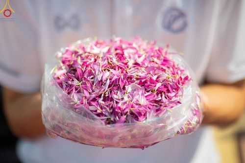 ภาพ No.190914:พิธีต้อนรับพระธรรมยาตรา ณ อนุสรณ์สถาน สถานที่ตั้งมโนปณิธานบวชตลอดชีวิต อนุสรณ์สถานคลองบางนางแท่น อ.สามพราน จ.นครปฐม ในโครงการธรรมยาตรา กตัญญูบูชา มหาปูชนียาจารย์ พระมงคลเทพมุนี(สด จนฺทสโร) พระผู้ปราบมาร อนุสรณ์สถาน 7 แห่ง ปีที่ 13 วันที่ 7 ม.ค.2568