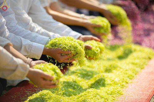 ภาพ No.190917:พิธีต้อนรับพระธรรมยาตรา ณ อนุสรณ์สถาน สถานที่ตั้งมโนปณิธานบวชตลอดชีวิต อนุสรณ์สถานคลองบางนางแท่น อ.สามพราน จ.นครปฐม ในโครงการธรรมยาตรา กตัญญูบูชา มหาปูชนียาจารย์ พระมงคลเทพมุนี(สด จนฺทสโร) พระผู้ปราบมาร อนุสรณ์สถาน 7 แห่ง ปีที่ 13 วันที่ 7 ม.ค.2568