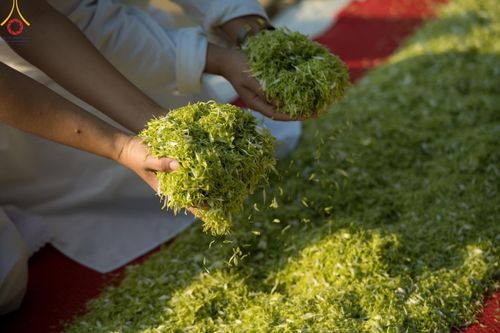 ภาพ No.190919:พิธีต้อนรับพระธรรมยาตรา ณ อนุสรณ์สถาน สถานที่ตั้งมโนปณิธานบวชตลอดชีวิต อนุสรณ์สถานคลองบางนางแท่น อ.สามพราน จ.นครปฐม ในโครงการธรรมยาตรา กตัญญูบูชา มหาปูชนียาจารย์ พระมงคลเทพมุนี(สด จนฺทสโร) พระผู้ปราบมาร อนุสรณ์สถาน 7 แห่ง ปีที่ 13 วันที่ 7 ม.ค.2568