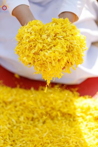 ภาพ No.196177:พิธีต้อนรับพระธรรมยาตรา ณ อนุสรณ์สถานลำดับที่ 4 สถานที่เกิดด้วยกายธรรม วัดโบสถ์(บน) ต.บางคูเวียง จ.นนทบุรี ในโครงการธรรมยาตรา กตัญญูบูชา มหาปูชนียาจารย์ พระมงคลเทพมุนี(สด จนฺทสโร) พระผู้ปราบมาร อนุสรณ์สถาน 7 แห่ง ปีที่ 13 วันที่ 15 มกราคม พ.ศ. 2568