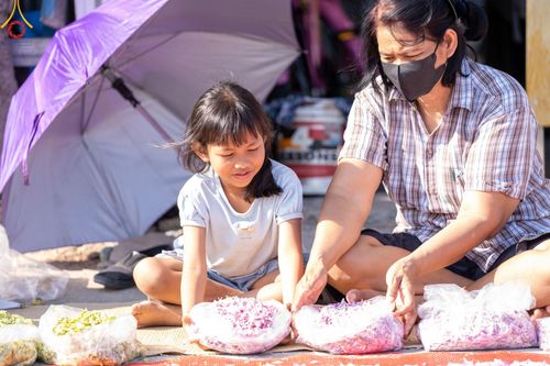 ภาพ No.196187:พิธีต้อนรับพระธรรมยาตรา ณ อนุสรณ์สถานลำดับที่ 4 สถานที่เกิดด้วยกายธรรม วัดโบสถ์(บน) ต.บางคูเวียง จ.นนทบุรี ในโครงการธรรมยาตรา กตัญญูบูชา มหาปูชนียาจารย์ พระมงคลเทพมุนี(สด จนฺทสโร) พระผู้ปราบมาร อนุสรณ์สถาน 7 แห่ง ปีที่ 13 วันที่ 15 มกราคม พ.ศ. 2568