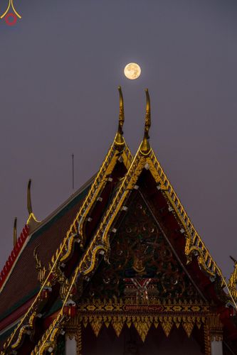 ภาพ No.196457:พิธีตักบาตรพระธรรมยาตรา ณ อนุสรณ์สถานลำดับที่ 3 สถานที่เกิดใหม่ในเพศสมณะ วัดสองพี่น้อง ต.ต้นตาล อ.สองพี่น้อง จ.สุพรรณบุรี ในโครงการธรรมยาตรา กตัญญูบูชา มหาปูชนียาจารย์ พระมงคลเทพมุนี(สด จนฺทสโร) พระผู้ปราบมาร ปีที่ 13 วันที่ 15 มกราคม พ.ศ.2568