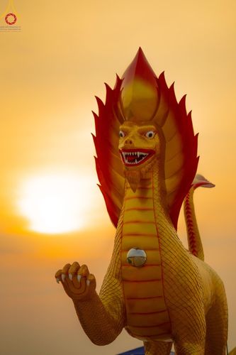 ภาพ No.200653:พิธีจุดประทีปถวายเป็นพุทธบูชา และบูชาธรรมมหาปูชนียาจารย์ ณ อนุสรณ์สถานบางปลา วัดบางปลา อำเภอบางเลน จังหวัดนครปฐม ในโครงการธรรมยาตรา กตัญญูบูชา มหาปูชนียาจารย์ พระมงคลเทพมุนี(สด จนฺทสโร) พระผู้ปราบมาร อนุสรณ์สถาน 7 แห่ง ปีที่ 13 วันที่ 23 มกราคม พ.ศ. 2568