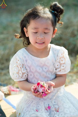 ภาพ No.203934:พิธีต้อนรับพระธรรมยาตรา ณ อนุสรณ์สถานลำดับที่ 5 สถานที่เผยแผ่วิชชาธรรมกายครั้งแรก อนุสรณ์สถานบางปลา วัดบางปลา อำเภอบางเลน จังหวัดนครปฐม ในโครงการธรรมยาตรา กตัญญูบูชา มหาปูชนียาจารย์ พระมงคลเทพมุนี(สด จนฺทสโร) พระผู้ปราบมาร ปีที่ 13 วัน 19 มกราคม พ.ศ.2568