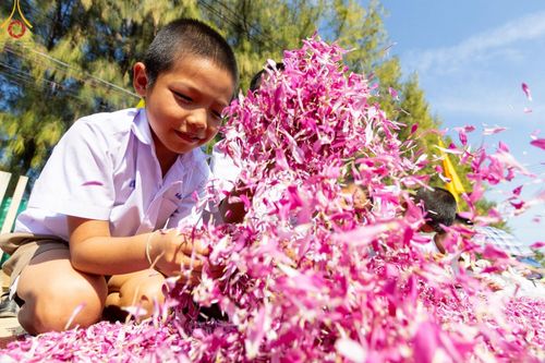ภาพ No.205266:พิธีต้อนรับพระธรรมยาตรา ณ อนุสรณ์สถาน สถานที่เกิดในเพศสมณะ วัดสองพี่น้อง อำเภอสองพี่น้อง จังหวัดสุพรรณบุรี ในโครงการธรรมยาตรา กตัญญูบูชา มหาปูชนียาจารย์ พระมงคลเทพมุนี(สด จนฺทสโร) พระผู้ปราบมาร อนุสรณ์สถาน 7 แห่ง ปีที่ 13 วันที่ 11 มกราคม พ.ศ. 2568