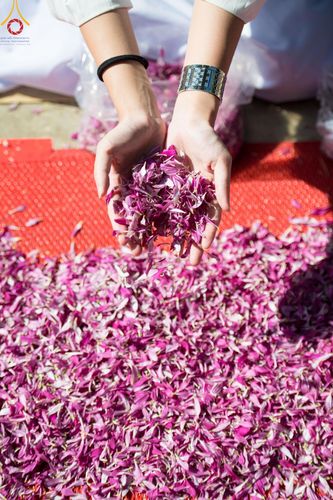 ภาพ No.205284:พิธีต้อนรับพระธรรมยาตรา ณ อนุสรณ์สถาน สถานที่เกิดในเพศสมณะ วัดสองพี่น้อง อำเภอสองพี่น้อง จังหวัดสุพรรณบุรี ในโครงการธรรมยาตรา กตัญญูบูชา มหาปูชนียาจารย์ พระมงคลเทพมุนี(สด จนฺทสโร) พระผู้ปราบมาร อนุสรณ์สถาน 7 แห่ง ปีที่ 13 วันที่ 11 มกราคม พ.ศ. 2568