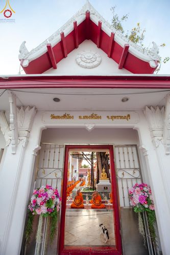 ภาพ No.206320:พิธีจุดประทีปถวายเป็นพุทธบูชา และบูชาธรรมมหาปูชนียาจารย์ ณ วัดสองพี่น้อง ต.ต้นตาล อ.สองพี่น้อง จ.สุพรรณบุรี ในโครงการธรรมยาตรา กตัญญูบูชา มหาปูชนียาจารย์ พระมงคลเทพมุนี(สด จนฺทสโร) พระผู้ปราบมาร อนุสรณ์สถาน 7 แห่ง ปีที่ 13 วันที่ 14 มกราคม พ.ศ. 2568