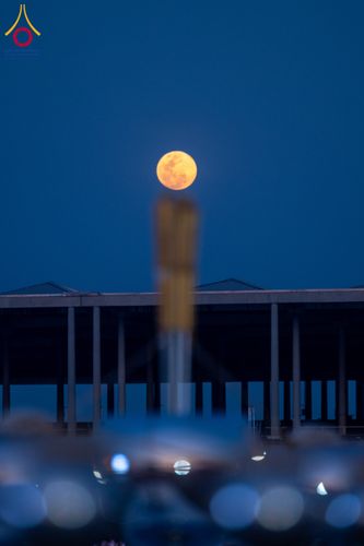 ภาพ No.207801:พิธีเวียนประทักษิณและจุดมาฆประทีป ในวันมาฆบูชา วันพุธที่ 12 กุมภาพันธ์ พ.ศ. 2568 ณ พระมหาธรรมกายเจดีย์ วัดพระธรรมกาย