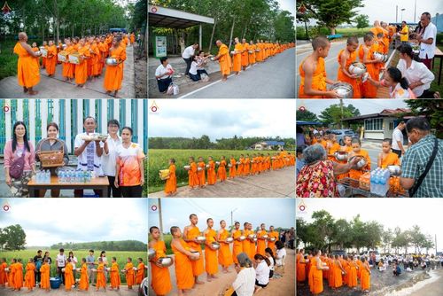 วันศุกร์ที่ 11 เมษายน พ.ศ. 2568 พระและสามเณร 99 รูป จากศูนย์ปฏิบัติธรรมระยอง(บ้านช่องลม) บิณฑบาต ณ ทุ่งปอเทือง ต.บางบุตร อ.บ้านค่าย จ.ระยอง เพื่อเป็นการฝึกสามเณรภาคฤดูร้อน ผ่านกิจวัตรบิณฑบาตในพื้นที่ชุมชน