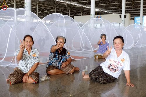 ภาพ No.219860:บรรยากาศการเดินทางเข้าวัดพระธรรมกาย , การต้อนรับปฏิสันถาร , การฉันภัตตาหารเช้า , การลงทะเบียนพระสังฆาธิการ  เนื่องในวันคุ้มครองโลก พิธีถวายมหาสังฆทานคณะสงฆ์ 40,000 กว่าวัดทั่วประเทศ ณ วัดพระธรรมกาย