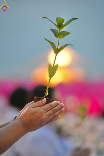 ภาพ No.160507:พิธีปลูกต้นทรัพย์บานชื่น ณ ลานธรรม พระมหาธรรมกายเจดีย์ วัดพระธรรมกาย จ.ปทุมธานี วันพฤหัสบดีที่ 10 ตุลาคม พ.ศ. 2567