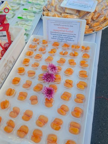 ภาพ No.193804:สาธุชนถวายภัตตาหารเป็นสังฆทาน แด่พระธรรมยาตรา ณ อนุสรณ์สถานมหาวิหารพระมงคลเทพมุนี (โลตัสแลนด์) อ.สองพี่น้อง จ.สุพรรณบุรี ในโครงการธรรมยาตรา กตัญญูบูชา มหาปูชนียาจารย์ พระมงคลเทพมุนี(สด จนฺทสโร) พระผู้ปราบมาร ปีที่ 13 วันที่ 12 มกราคม พ.ศ.2568