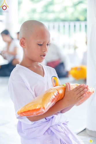 ภาพ No.161551:โครงการบรรพชาสามเณรภาคฤดูฝน รุ่นที่ 14 วันเสาร์ที่ 12 ตุลาคม พ.ศ. 2567  ณ ศูนย์ปฏิบัติธรรมสวนผึ้ง จังหวัดราชบุรี