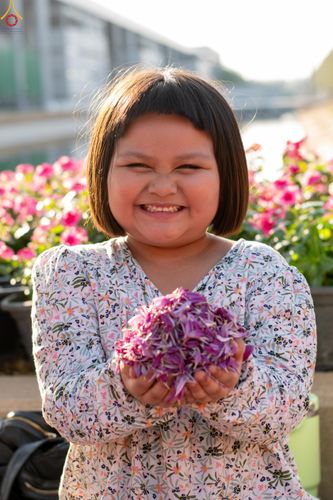 ภาพ No.305692:วันที่ 25 มกราคม พ.ศ. 2569 พิธีต้อนรับพระธรรมยาตรา วัดพระธรรมกาย(ภาพชุดที่ 3) ในโครงการธรรมยาตรา กตัญญูบูชา มหาปูชนียาจารย์ พระมงคลเทพมุนี(สด จนฺทสโร) พระผู้ปราบมาร อนุสรณ์สถาน 7 แห่ง ปีที่ 14