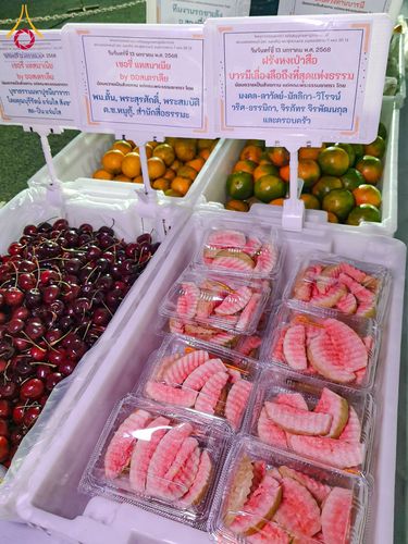 ภาพ No.194436:พิธีถวายภัตตาหารเป็นสังฆทาน แด่พระธรรมยาตรา ณ อนุสรณ์สถานมหาวิหารพระมงคลเทพมุนี (โลตัสแลนด์) อ.สองพี่น้อง จ.สุพรรณบุรี ในโครงการธรรมยาตรา กตัญญูบูชา มหาปูชนียาจารย์ พระมงคลเทพมุนี(สด จนฺทสโร) พระผู้ปราบมาร ปีที่ 13 วันที่ 13 มกราคม พ.ศ.2568