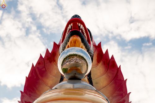 ภาพ No.302763:วันที่ 24 มกราคม พ.ศ. 2569 พิธีตักบาตรพระธรรมยาตรา(ภาพชุดที่ 2) ณ อนุสรณ์สถานลำดับที่ 5 สถานที่เผยแผ่วิชชาธรรมกายครั้งแรก อนุสรณ์สถานบางปลา วัดบางปลา อำเภอบางเลน จังหวัดนครปฐม ในโครงการธรรมยาตรา กตัญญูบูชา มหาปูชนียาจารย์ พระมงคลเทพมุนี(สด จนฺทสโร) พระผู