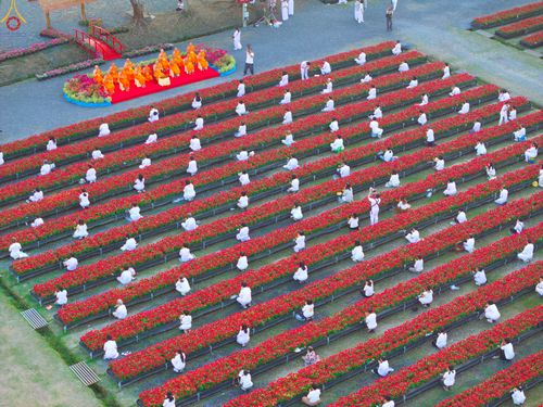 ภาพ No.280896:วันที่ 28 ธันวาคม พ.ศ.2568 กิจกรรมเก็บดอกแพงรวย ณ ทุ่งสวรรค์ตะวันฉาย วัดพระธรรมกาย