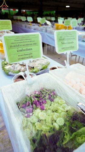 ภาพ No.70105:พิธีถวายภัตตาหารเป็นสังฆทาน แด่คณะพระธรรมยาตราฯ ในโครงการธรรมยาตราฯ ปีที่ 11 ณ อนุสรณ์สถานคลองบางนางแท่น อ.สามพราน จ.นครปฐม วันที่ 11 มกราคม พ.ศ. 2566