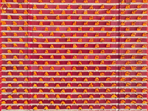 ภาพ No.75214:พิธีจุดประทีปถวายเป็นพุทธบูชา และบูชาธรรมมหาปูชนียาจารย์ ในโครงการธรรมยาตรากตัญญูบูชา มหาปูชนียาจารย์ พระมงคลเทพมุนี(สด จนฺทสโร) พระผู้ปราบมาร ปีที่ 11 ณ อนุสรณ์สถานลำดับที่ 7 สถานที่ขยายวิชชาธรรมกาย วัดพระธรรมกาย จ.ปทุมธานี วันที่ 31 มกราคม พ.ศ. 2566