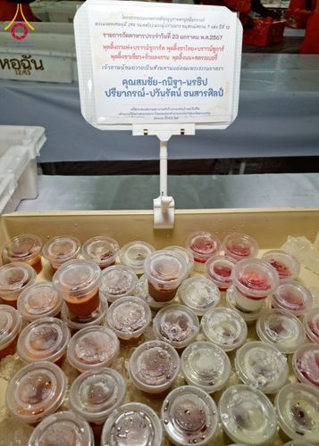 ภาพ No.117490:พิธีถวายภัตตาหารเป็นสังฆทาน แด่คณะพระธรรมยาตรา วันที่ 23 มกราคม พ.ศ. 2567 ณ อนุสรณ์สถานบางปลา อ.บางเลน จ.นครปฐม