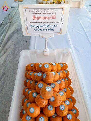 ภาพ No.195961:พิธีถวายภัตตาหารเป็นสังฆทาน แด่พระธรรมยาตรา ณ วัดโบสถ์(บน) ตำบลบางคูเวียง อำเภอบางกรวย จังหวัดนนทบุรี ในโครงการธรรมยาตรา กตัญญูบูชา มหาปูชนียาจารย์ พระมงคลเทพมุนี(สด จนฺทสโร) พระผู้ปราบมาร อนุสรณ์สถาน 7 แห่ง ปีที่ 13 วันที่ 16 มกราคม พ.ศ. 2568