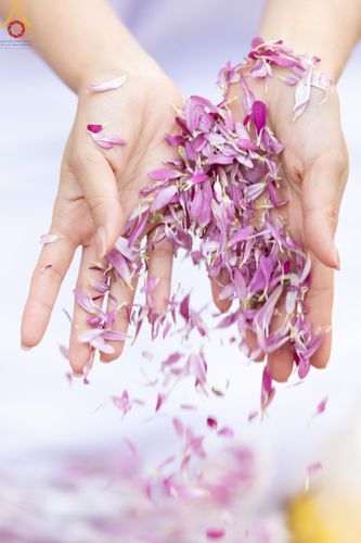 ภาพ No.120097:พิธีต้อนรับพระธรรมยาตรา ในโครงการธรรมยาตรา กตัญญูบูชา มหาปูชนียาจารย์ พระมงคลเทพมุนี(สด จนฺทสโร) พระผู้ปราบมาร อนุสรณ์สถาน 7 แห่ง ปีที่ 12 วันที่ 28 มกราคม พ.ศ. 2567 ณ วัดพระธรรมกาย จ.ปทุมธานี