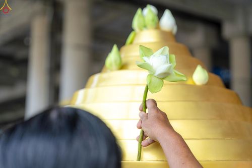 ภาพ No.345176:วันที่ 7 - 19 สิงหาคม พ.ศ.2569 ต้อนรับชาวต่างชาติเยี่ยมชมวัดพระธรรมกาย