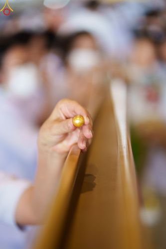 ภาพ No.82399:พิธีหล่อพระประธานเพื่อประดิษฐาน ณ มหาวิหารคด วันอาทิตย์ที่ 11 มิถุนายน พ.ศ. 2566 ณ สภาธรรมกายสากล วัดพระธรรมกาย