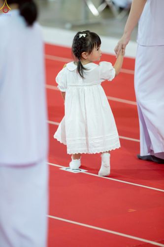 ภาพ No.240782:วันพุธที่ 27 สิงหาคม พ.ศ. 2568 พิธีทอดผ้าป่าเพื่อสร้างอาคาร  82 ปี หลวงพ่อธัมมชโย สมทบกฐินวัดพระธรรมกาย และกฐิน 30,000 วัดทั่วประเทศ ครั้งที่ 1