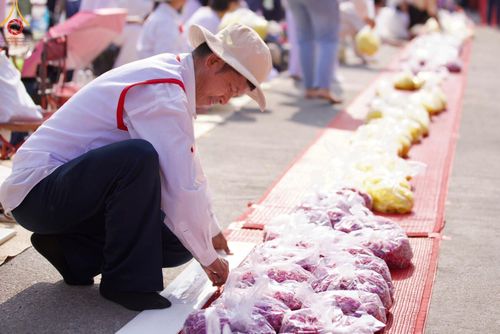 ภาพ No.114208:V.13 ตามติด การเตรียมงาน เก็บงาน การรับบุญของเจ้าหน้าที่หน่วยงานต่างๆ เพื่อโครงการธรรมยาตรา ปีที่ 12 ระหว่างวันที่ 2 - 31 มกราคม พ.ศ. 2567