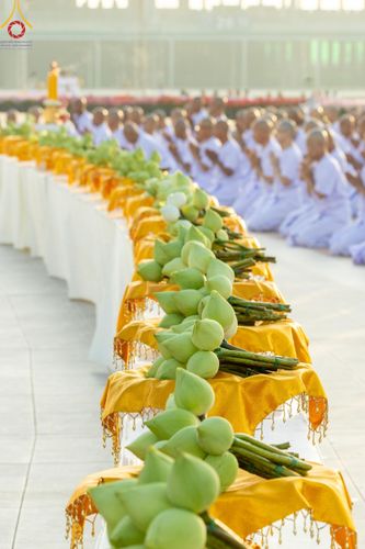 ภาพ No.180581:พิธีบรรพชาอุปสมบท โครงการอุปสมบทบูชาธรรมมหาปูชนียาจารย์ ประจำปีพุทธศักราช 2567 วันเสาร์ที่ 7 ธันวาคมพ.ศ. 2567 ณ วัดพระธรรมกาย จ.ปทุมธานี