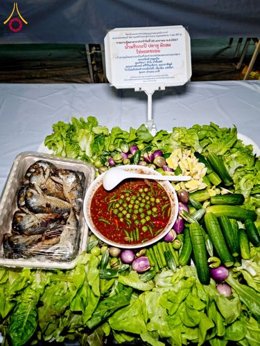 ภาพ No.118763:พิธีถวายภัตตาหารเป็นสังฆทาน แด่คณะพระธรรมยาตรา วันที่ 25 มกราคม พ.ศ. 2567 ณ อนุสรณ์สถานบางนางแท่น จ.นครปฐม